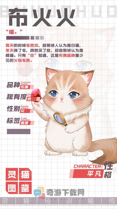 灵猫传布火火怎么样 灵猫传平凡中透露着不平凡的布火火属性图鉴