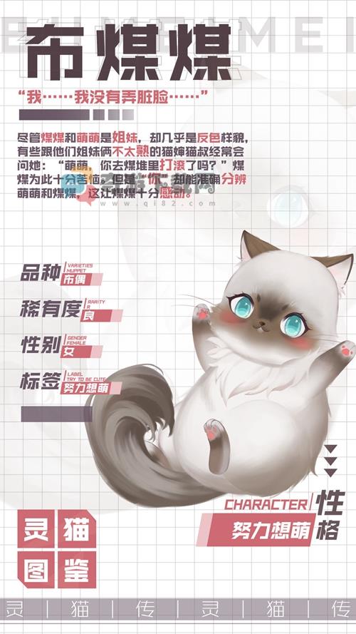 灵猫传布煤煤怎么样 灵猫传双生子小黑布煤煤属性图鉴