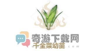 妄想山海千金菜幼苗怎么做 妄想山海千金菜幼苗配方属性介绍