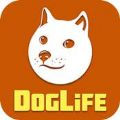 doglife游戏