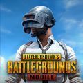 pubg2.5.0