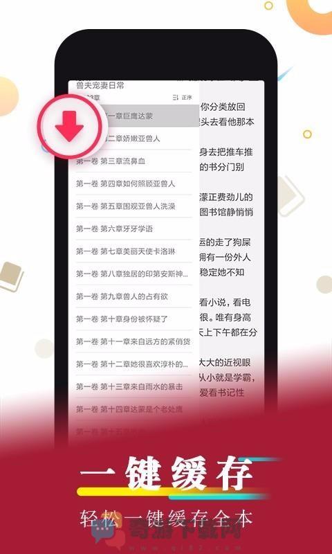 星萌小说无弹窗截图2